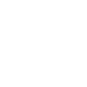Forest Wonders
